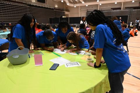 stem design challebge